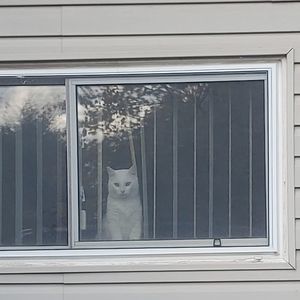 Meet your Posher, Krissy